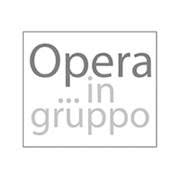 Consorzio Opera in gruppo