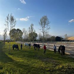 Centro Equestre Leoncavallo