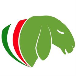 Allevamento Veneto Ovini