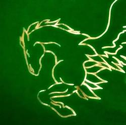 Cavalieri del Raggio Verde