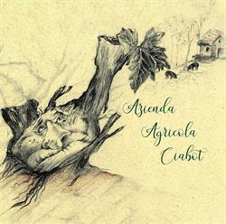Azienda Agricola Ciabot
