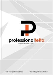 Professional Tetto srl