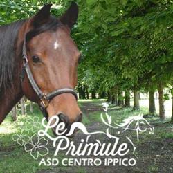 ASD CENTRO IPPICO LE PRIMULE