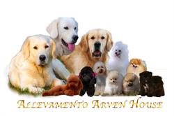 ARVEN HOUSE
