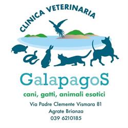 Clinica Veterinaria Galapagos
