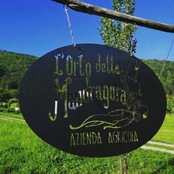 Azienda agricola L'orto della Mandragora