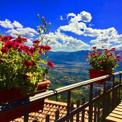 B&B Selvaggio Blu