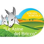 Le asine del Bricco