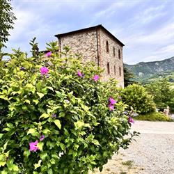 Elementi Immobiliari Di Elementi Elena