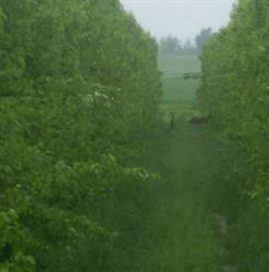 Azienda agricola Tinelli
