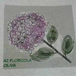 Azienda Floricola Oliva