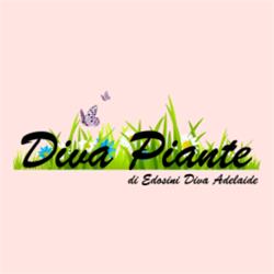 Diva Piante di Adelaide Edosini