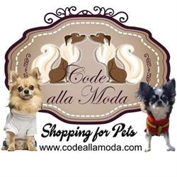 Code alla Moda