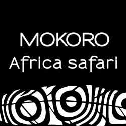 Mokoro Tours