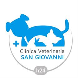 Clinica Veterinaria San Giovanni H24