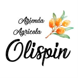 OLISPIN - Società agricola - OLIVELLO SPINOSO