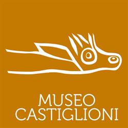 Museo Castiglioni