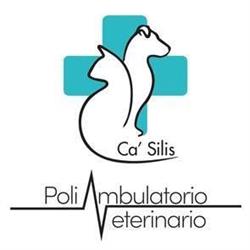 Poliambulatorio Veterinario Ca'Silis del Dr. ONGARO