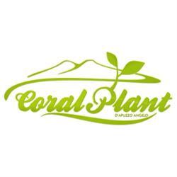 Coral Plant di D'Apuzzo Angelo