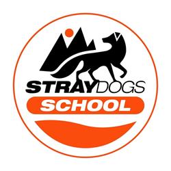 Stray Dogs School - Scuola Sci e Snowboard Le Polle Cimone Riolunato