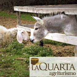 Agriturismo La Quarta