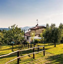 Agriturismo la collina degli ulivi