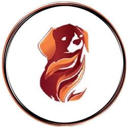 Firedog - Assistenza Tecnica Informatica