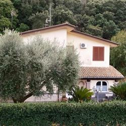 B&B Cavalieri