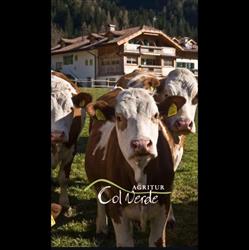 Agritur Col Verde Predazzo