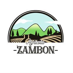 ZAMBON MARCO