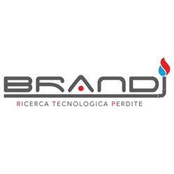 Ricerca Perdite Brandi