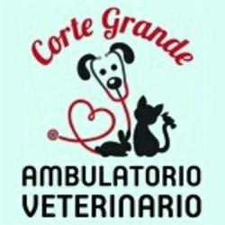 Ambulatorio Veterinario Corte Grande