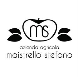 Stefano Maistrello