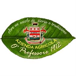 Azienda Agricola O' Professore 1912