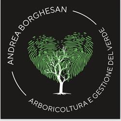BORGHESAN ANDREA