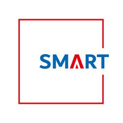 SMART - Consulenza Informatica