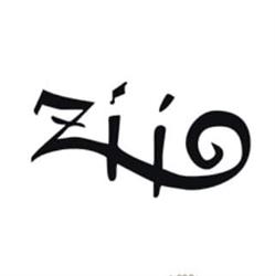 ZIIO SOCIETA' A RESPONSABILITA' LIMITATA