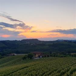 Azienda Agricola Avignolo di Famiglia Chiapella