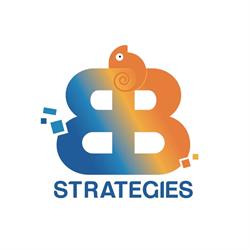 BB Strategies Srl