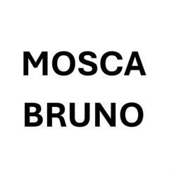 Mosca Bruno