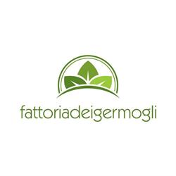 Fattoria dei Germogli di Jiang Congcong