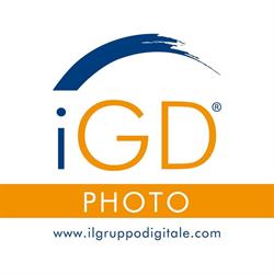 Il Gruppo Digitale