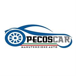 Autofficina Pecos car