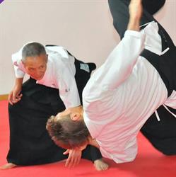 Aikido rovigo aishinkan