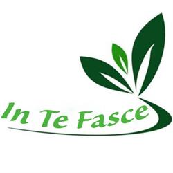 In te fasce