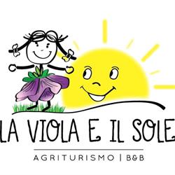 LA VIOLA E IL SOLE