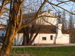 Agriturismo Negrelli al "Po di Venezia"