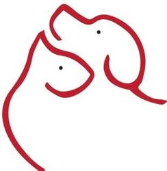 Clinica Veterinaria Pet Care
