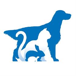Ambulatorio Veterinario Legnanovet