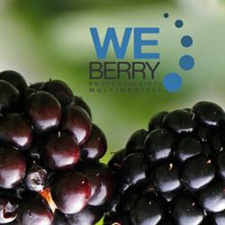 We Berry